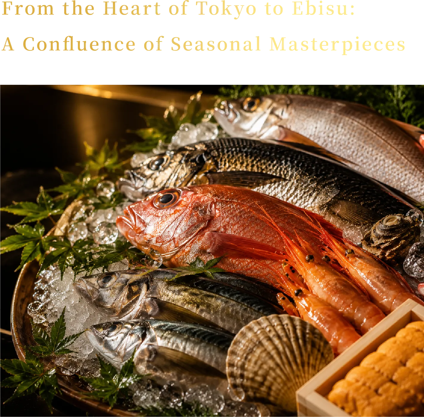From the Heart of Tokyo to Ebisu: A Confluence of Seasonal Masterpieces